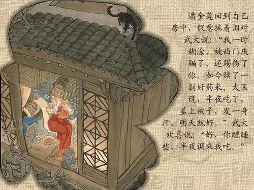 金梅瓶1 5集在线观看,5集精彩剧情抢先看